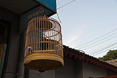 《小缇娜的奇幻之地》宣布第一款追加內容 